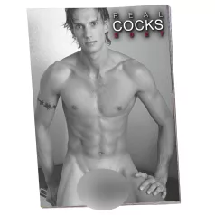 Real Cocks 2027 - calendrier mural érotique (1 exemplaire)