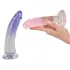 You2Toys - Harnais avec gode - kit 2 godes - strap-on