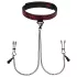 Fifty Shades of Grey - collier et pinces tétons - noir et rouge