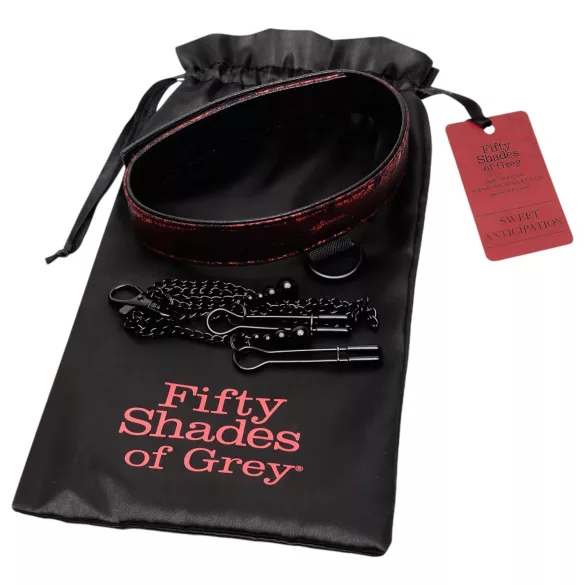 Fifty Shades of Grey - collier et pinces tétons - noir et rouge
