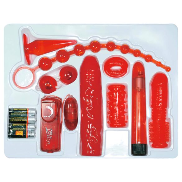 You2Toys - Coffret vibromasseur 9 pièces - roses rouges