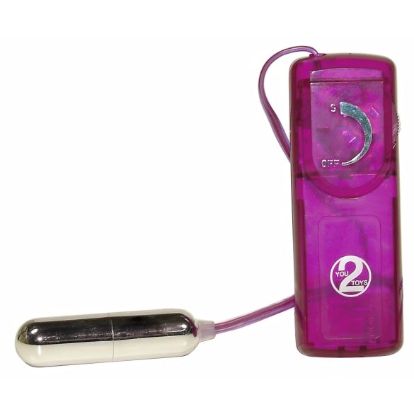 You2Toys - Coffret surprise érotique - set vibrateurs 12 pièces