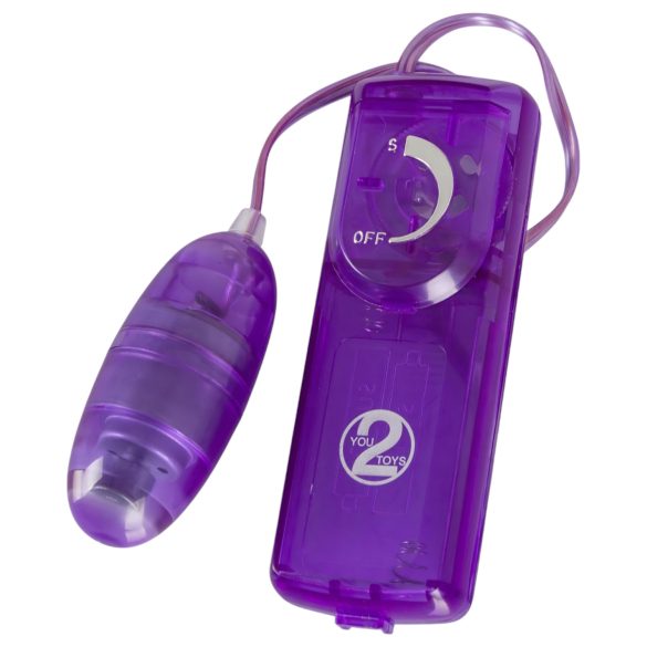 You2Toys - coffret sextoys vibrant 9 pièces - silicone violet