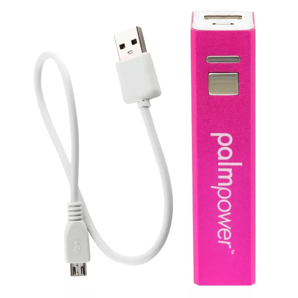 PalmPower Wand - vibromasseur avec powerbank - rose/gris