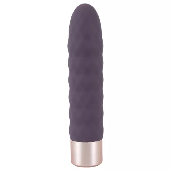 You2Toys - Vibromasseur rechargeable élégant - violet