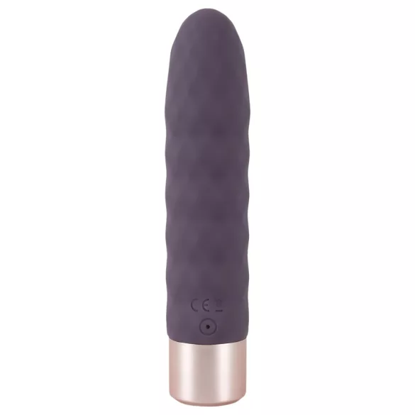 You2Toys - Vibromasseur rechargeable élégant - violet