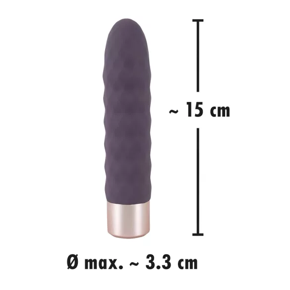 You2Toys - Vibromasseur rechargeable élégant - violet