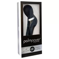   PalmPower Extreme Wand - vibromasseur rechargeable puissant - silicone noir