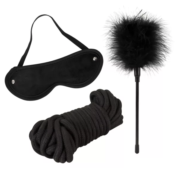 tease & please - Master & Slave - coffret aventure BDSM premium pour couples (13 pièces)