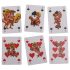 Kama Sutra - jeu de cartes érotiques amusant - 24 cartes