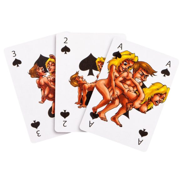 Kama Sutra - jeu de cartes érotiques amusant - 24 cartes