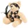 Bad Kitty - ours en peluche BDSM avec fouet