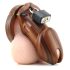 CB-6000 - cage pénienne de luxe avec cadenas (bois)