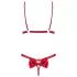 Obsessive Rubinesa - ensemble lingerie sexy - dentelle rouge - L/XL
