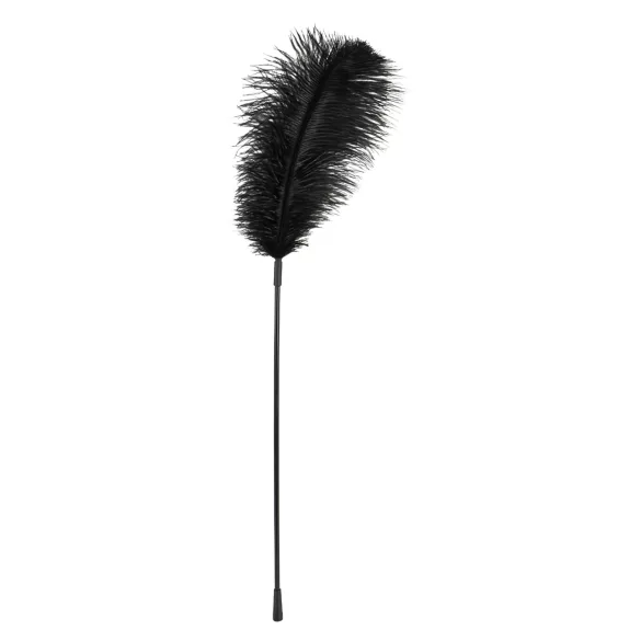 Bad Kitty - Plumeau coquin - noir