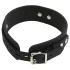 Bad Kitty - collier et laisse en silicone - noir
