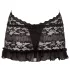 Cottelli - Robe mini en dentelle à tour de cou - noir - XL