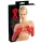 LATEX - Gants longs unisexes - latex - rouge