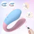 Mrow 03 - vibromasseur duo rechargeable étanche - silicone bleu rose