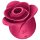 Satisfyer Pro 2 Rose Modern - Stimulateur clitoridien à ondes (rouge)