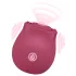 EIS Blush&Bloom - stimulateur vibrant à succion (rouge)
