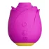 ROMP Rose - stimulateur clitoridien à ondes d'air - silicone rose