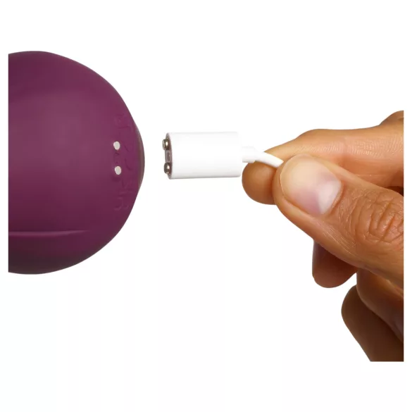 Amaysin - stimulateur clitoridien en forme de rose avec languette (violet)