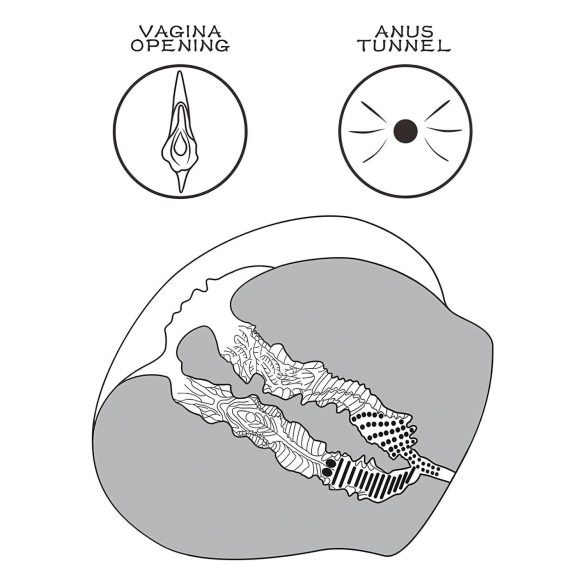 Lovetoy Streetgirl's 12 - vagin masturbateur torse avec string - peau foncée