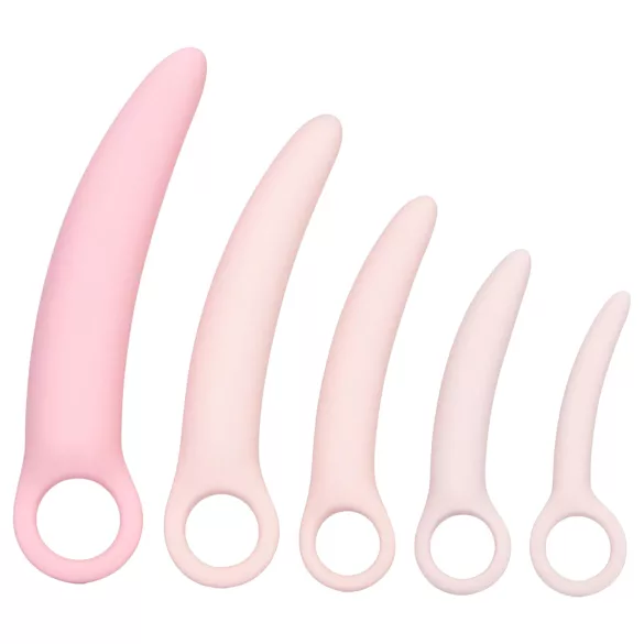 CalExotics Inspire - set de dilatateurs vaginaux médicaux - silicone rose