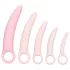 CalExotics Inspire - set de dilatateurs vaginaux médicaux - silicone rose