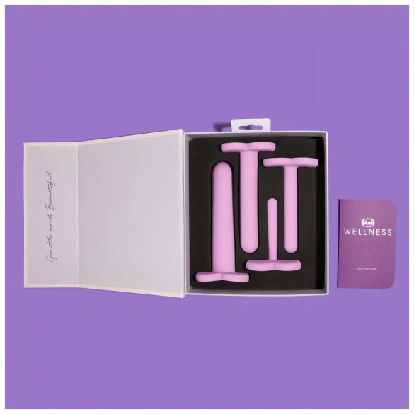 Blush Wellness - set de dilatateurs vaginaux - silicone violet