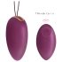 Engily Ross Garland - Oeuf vibrant (violet)