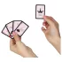 Secret Play Pocket Kamasutra - jeu de cartes de positions sexuelles (54 cartes)