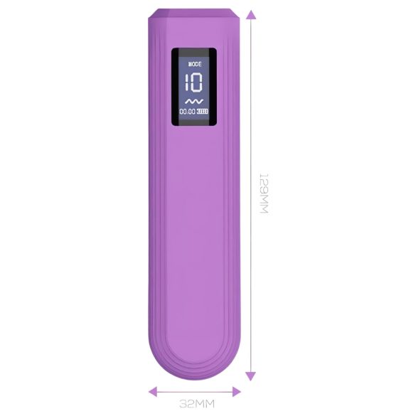 Engily Ross Whim - vibromasseur rechargeable numérique (violet)