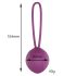 Engily Ross Leigh - Boule de geisha silicone - violet