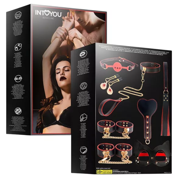 INTOYOU - Coffret BDSM avancé - 8 pièces - noir