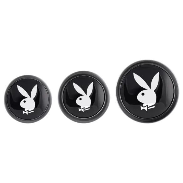 Playboy - set de plugs anaux - 3 pièces - argenté