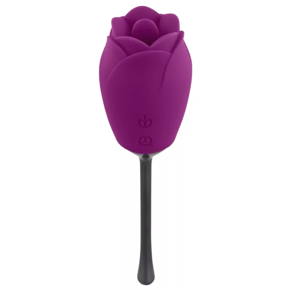 Playboy - vibromasseur langue rose - étanche rechargeable silicone violet
