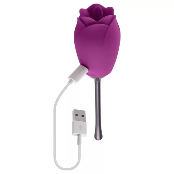Playboy - vibromasseur langue rose - étanche rechargeable silicone violet