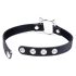 Collier Coquin Chaton Master Series - avec anneau tête de chat (noir)