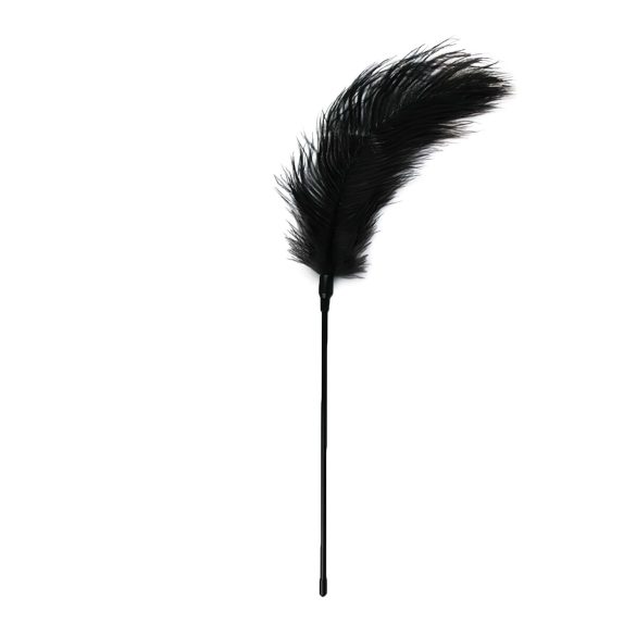 EasyToys - plume caressante longue - noir