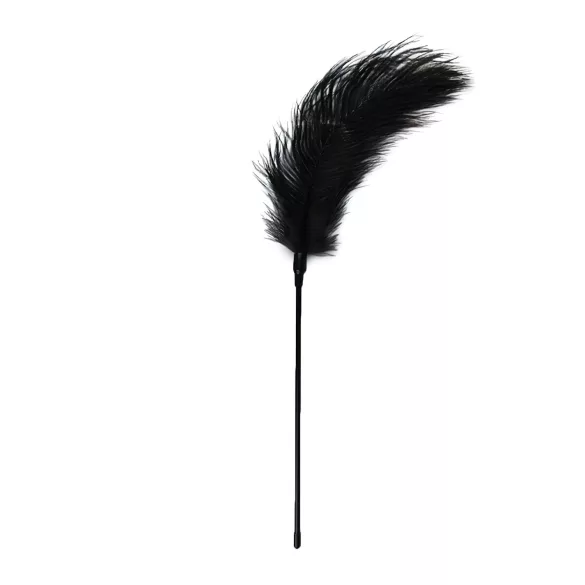 EasyToys - plume caressante longue - noir