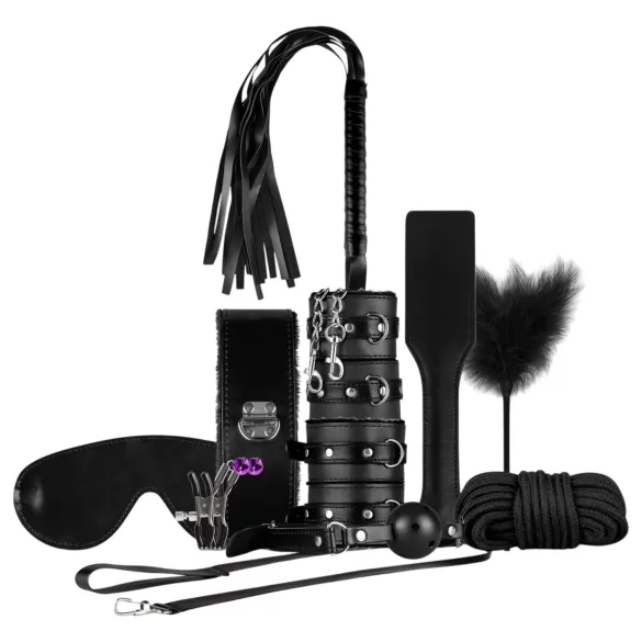 Secret Pleasure Chest - coffret BDSM avancé - 14 pièces - noir