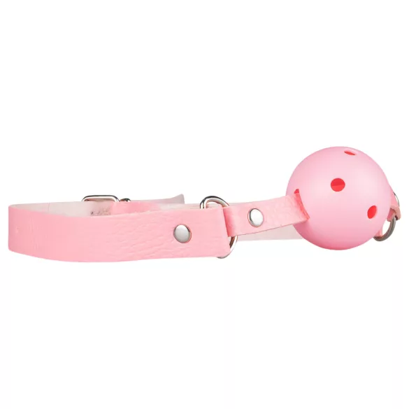 Secret Pleasure Chest - coffret BDSM avancé 14 pièces - rose