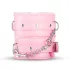 Secret Pleasure Chest - coffret BDSM avancé 14 pièces - rose