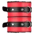 Coffret Secret Pleasure - kit BDSM avancé - 10 pièces (rouge)