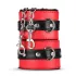 Secret Pleasure Chest - coffret BDSM avancé 10 pièces - rouge