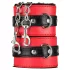 Coffret Secret Pleasure - kit BDSM avancé - 10 pièces (rouge)
