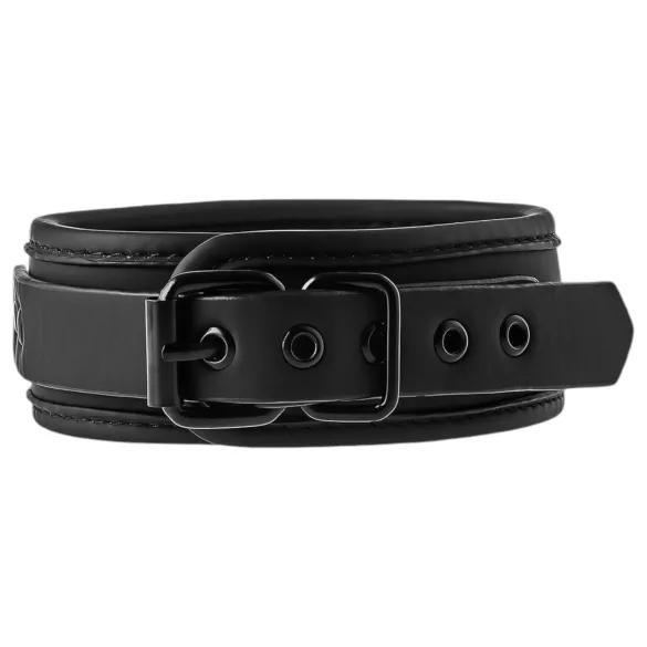 Blaze - collier et laisse - noir