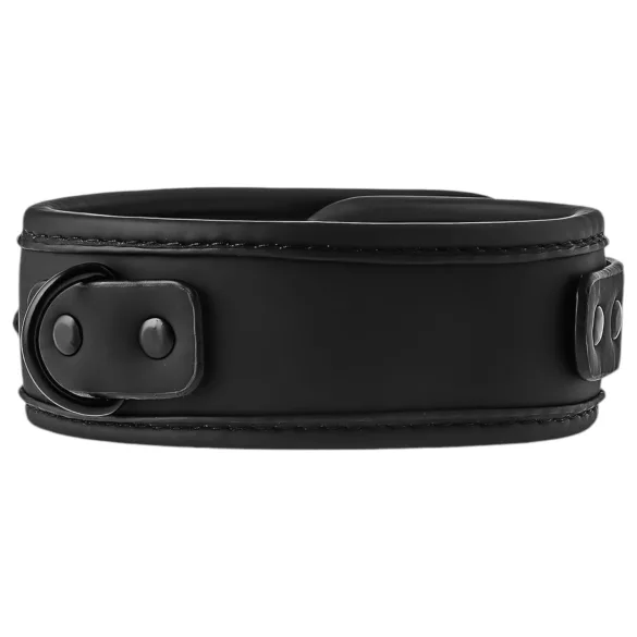 Blaze - collier et laisse - noir